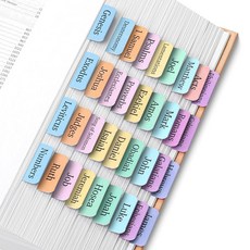 미스터펜 Mr. Pen - 컬러 코드 콘텐츠 스티커가 있는 라미네이트 성경 탭 75개 여성 및 남성을 위한 대형 프린트 색인 탭 성경 공부 일기 기도 및 성경 내비게이