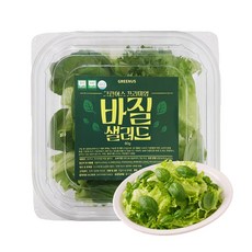 그린어스 무농약 친환경 유러피안 프리미엄 바질 트레이 샐러드, 10개, 80g
