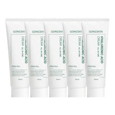 공스킨 저자극 수분 탄력 케어 줄기세포 히알루론산 올인원 크림, 5개, 100ml