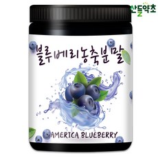 산들약초 미국산 블루베리농축분말 (블루베리농축액), 300g, 1개