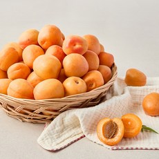 [맛보장환불정책] 노지 살구 다둥상회 국내산100% 산지직송, 1개, 중대과 1kg