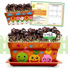 나만의 채소밭 만들기 상추 관찰 기록지 채소 밭 기록 재배 농사 원예 농작물 생산 농업, 본상품