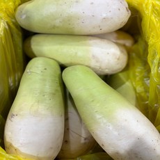 농가특가 일등농수산 제주도 세척무 월동무, 1개, 2kg 혼합 1-3과