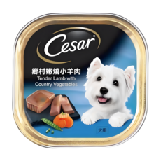 Cesar 西莎餐盒，火雞肉蔬菜口味，天然食材無添加，小型犬老犬適用, 100g, 1個, 羊