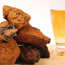 러시아 차가버섯 원물 차가버섯차, 2개, 1kg