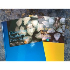 布楚禮 HAWORTHIA 佐藤勉 作 精美植物攝影集 居家藝術收藏 植物愛好者必備, Vol.2 藍