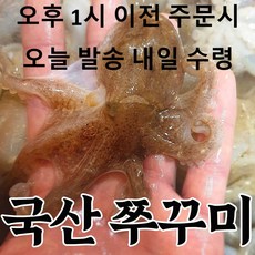 [생물] 26년 겨울 활주꾸미 국산 샤브샤브 쭈꾸미, 1개, 1kg