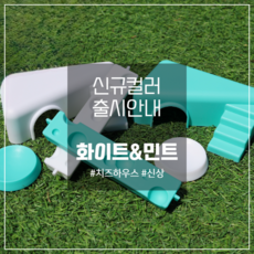 디마트 치즈하우스 백업, 1개, 민트