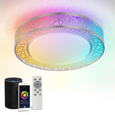 ASD 30.5cm RGBW 스마트 천장 조명 리모컨 포함 브러시드 니켈 20W 120V 2700-6500K 조도 조절 Wi-Fi 앱 제어 알렉사 구글 어시스턴트 ETL, 단일 16인치 니켈 RGBW 14인치 VTAC