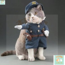 本町萌寵 創意個性立體貓咪衣服搞笑可愛變身裝小型犬博美泰迪狗狗搞怪衣服, 1個, 護士,S（建議3-6斤）