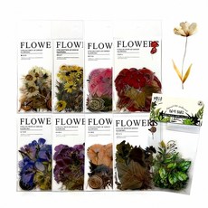 압화 스티커 40매 드라이플라워 꽃 생화 장식 소품 야생화 포장 인테리어 리 프레 셔 탈, 핑크