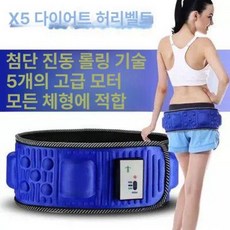 허리 벨트 진동 마사지 다이어트 덜덜이 털털이 슬리밍, 스탠다드 2단 스위치 플러그인 블루, 기본 모델명/품번
