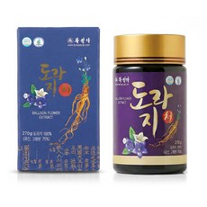 북설악 국내산 3년근 도라지 저온추출 도라지청 270g, 1개