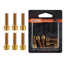 시그니처베이지 자전거 스템 나사 볼트 세트 YPZ435, 6개, 골드