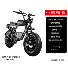 전동 전기 팻바이크 오프로드 배달용 레트로 출퇴근 광폭 이지베이션 멋진, Super73Y1 스탠다드 전후 디스크 4단