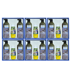 애경 선물세트 다정 A-1호, 6세트