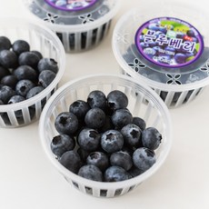 국내산 새콤달콤 생 블루베리, 1개, 100g*1팩 / 상 (14mm 이상)
