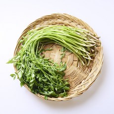 [푸드빌리지] 돌미나리, 1박스, 4kg
