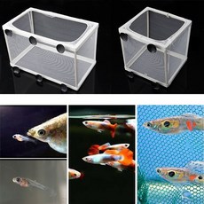 물고기 탱크 수족관 Guppy 사육 육종 물고기 아기 거즈 함정 상자 절연체 S/L, 1개