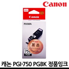 캐논 PGI-750 CLI-751 정품잉크, PGI-750 PGBK(포토검정), 1개