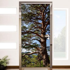 아트박스/꾸밈 tl453-청명한소나무_현관문시트지, 본품