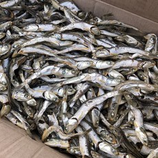 신건호멸치 국물용 햇 다시멸치(실속형) 대멸치 국물용멸치, 1개, 1.5kg