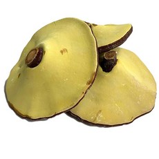 영지버섯통A / 중국산 (500g)