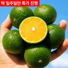 [제철수확] 싱그러운 제주 풋귤 청귤, 1개, 5kg