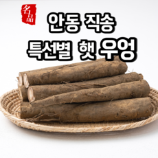 [특선별] 햇우엉 우엉 안동 직송 생우엉, 1개, 우엉 [중품] 4kg 반찬용