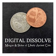 [디지털디졸브 Digital Dissolve] 동전의 비주얼한 컬러체인지입니다., 1개