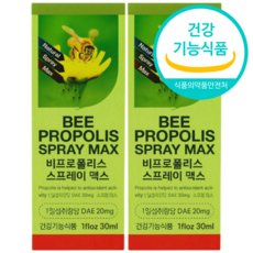 프리미엄 프로폴리스 스프레이 뿌리는 Propolis, 5개, 30ml