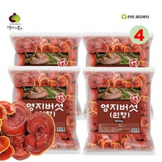국내산 말린 건조 영지버섯 원형, 4개