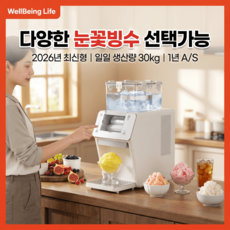 눈꽃빙수기 30Kg 가정용 업소용 스테인레스 빙수기 WellBeing Life 2026년 최신형, HZX-30MM