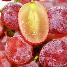 [백화점납품] 프리미엄 20brix 레드크림슨 포도, 1박스, 1kg