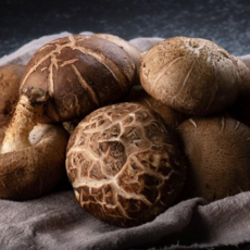 [입터짐] 국내산 생표고버섯 상품 중품 1kg, 1개