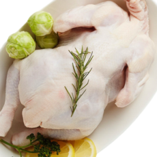 조선푸드 냉장 생닭 2kg 당일손질 삼계탕 백숙, 1개