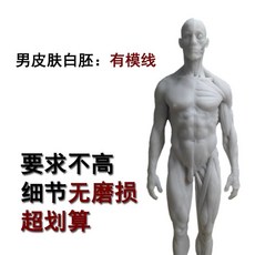 피규어 근육 뼈 모형 근육 전신상 모델 아나토미 드로잉, D. 남성 피부 하얀 배아