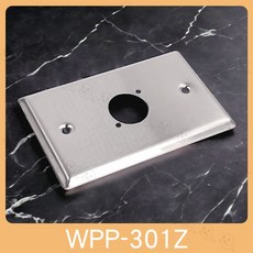 魔音傳腦 壁插蓋板 不鏽鋼插座蓋板 單孔佳能座, 1個