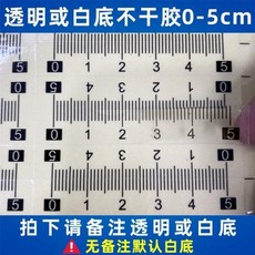 白底刻度尺貼紙 自黏透明標尺 學生刻度貼, 5cm透明24條裝