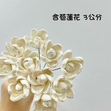 高品質索拉含苞蓮花 索拉3公分(把) 擴香花 乾燥花 永生花, 白色