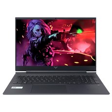 HP 2023 빅터스 16 코어i5 인텔 13세대 지포스 RTX 4060, 미카실버, 1012GB, 16GB, WIN11 Home, 16-r0094TX