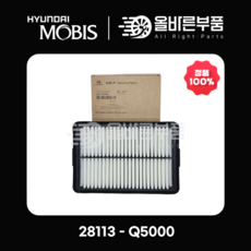 [현대모비스순정] 에어클리너 28113-Q5000, 1개, 28113Q5000