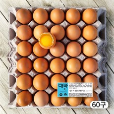 농장직송 항생제 없는 신선한 계란 대란, 60구, 1개