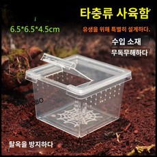 팩맨 용품 보온 곤충 사육함 집 거미 거북이 학습 생물 키우는통 양서류, 미니 사각 사육함, 1개