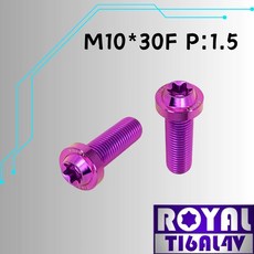 ROYAL 鈦合金螺絲 M10*30F P:1.5 飛碟頭型螺絲 64鈦 皇家紫, 1個