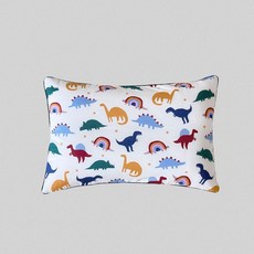 NEW 떼오 워싱 베개커버 BS/JS