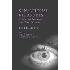 (영문도서) Sensational Pleasures in Cinema Literature and Visual Culture: The Phallic Eye Paperback, Palgrave MacMillan, English, 9781349473090