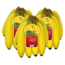 더노랑 커트 바나나, 1박스, 3송이 3.9kg