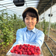 [파파프레시] 산지직송 산딸기, 1개, 특품 1kg (250g × 4팩)