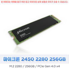 마이크론 256GB SSD 2450 2280 Gen4, 마이크론 2450 2280